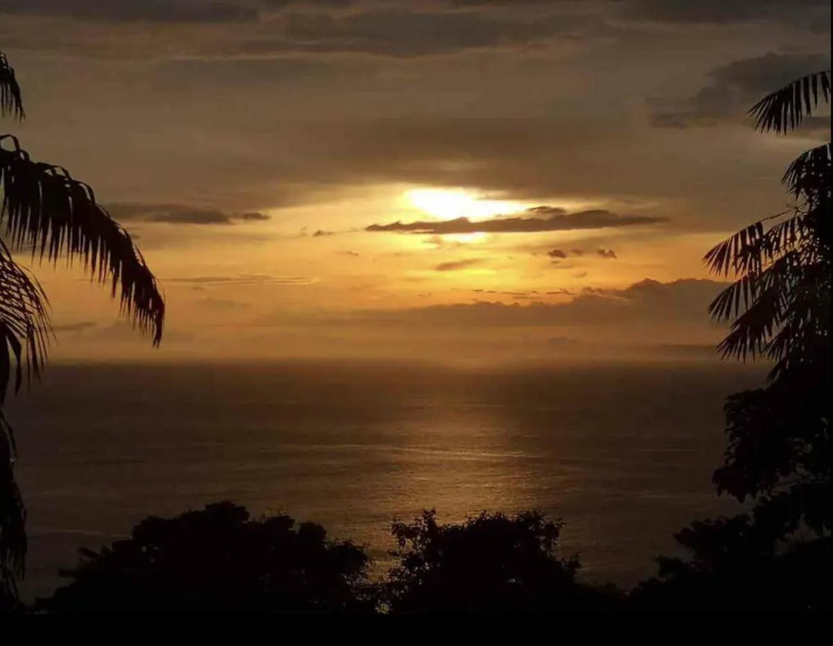 Beautiful Rustic Treehouse Hotel Manuel Antonio Quepos Exteriér fotografie