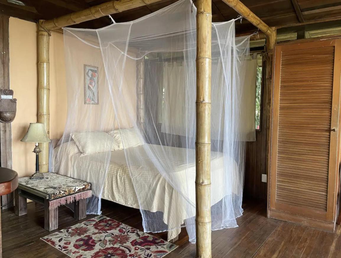Beautiful Rustic Treehouse Hotel Manuel Antonio Quepos Exteriér fotografie