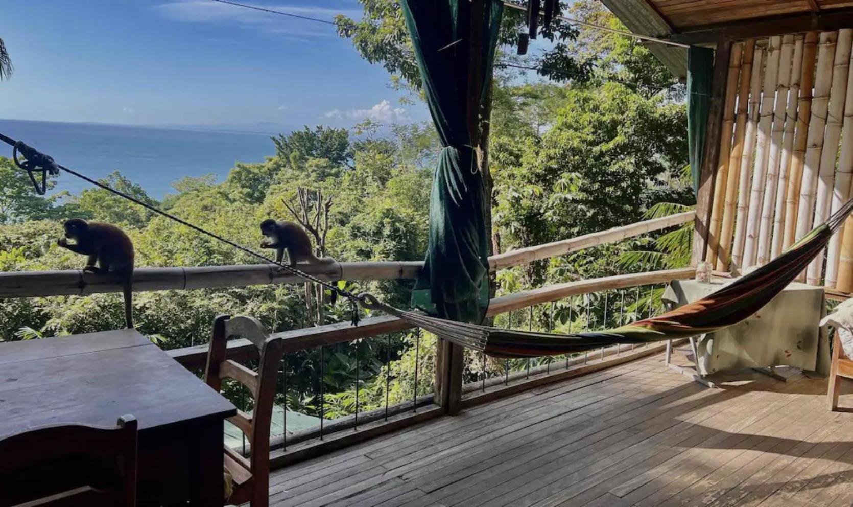 Beautiful Rustic Treehouse Hotel Manuel Antonio Quepos Exteriér fotografie